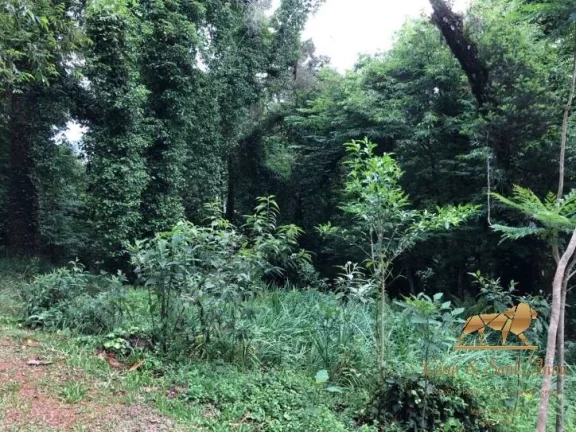 Imagem Terreno à venda, 2450 m² Capivari - Campos do Jordão/São Paulo
