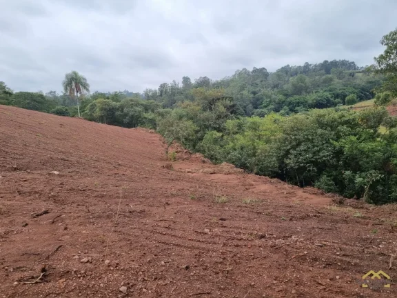 Imagem TERRENO À VENDA, 5000 M² POR R$ 450.000,00 - CAXAMBU - JUNDIAÍ/SP