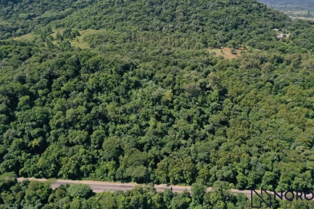 Imagem Chácara 3,5ha frente BR 158 em direção a Itaara