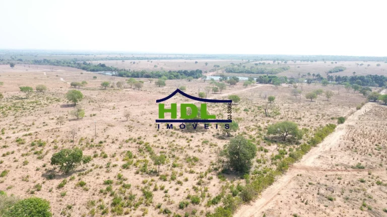 Imagem Fazenda de OPORTUNIDADE Dupla Aptidão em Peixe do Tocantins