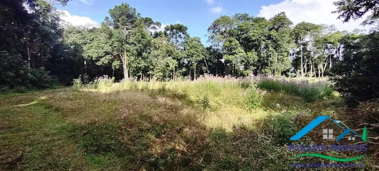 Imagem Terreno Exuberante no Bairro Campestre, Gonçalves – Serra da Mantiqueira