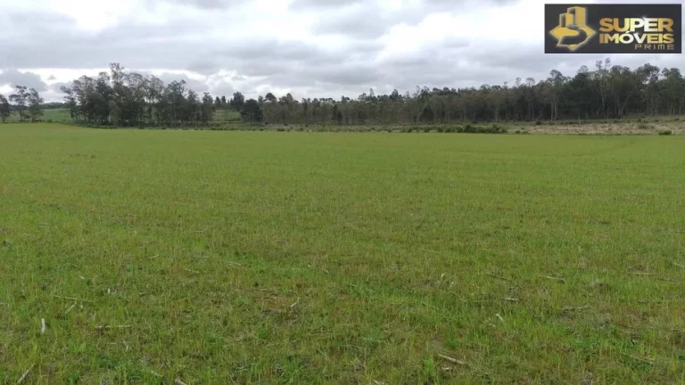 Imagem Fazenda Espetacular no Capão do Leão-RS próximo de Pelotas
