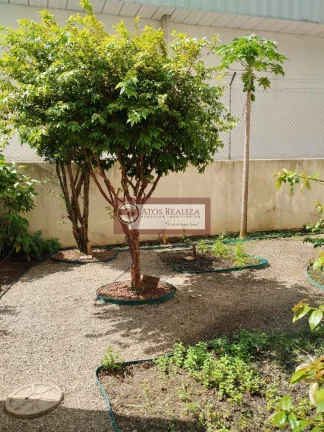 Imagem Alugo Apartamento Térreo com 1 Quarto, Cozinha, Banheiro, Área de serviço, na Região da VILA Mascote, São Paulo.Condomínio com Piscina, quadra, Jardim. mercadominio, salão de festa. Isento de Condomínio e IPTU, Valor R$ 2.000