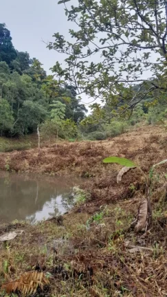 Imagem Sítio para Venda em Sete Barras, Rural