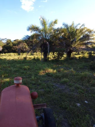 Imagem Fazenda à Venda em Faina - 237 Alqueires de Oportunidade!