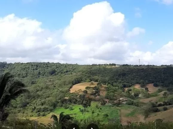 Imagem Condomínio YES Banana - Terreno L-6 / Q-I: Seu Espaço Exclusivo em Bananeiras