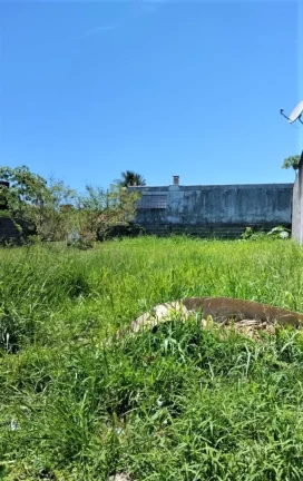 Imagem Terreno à venda na Ilha Comprida