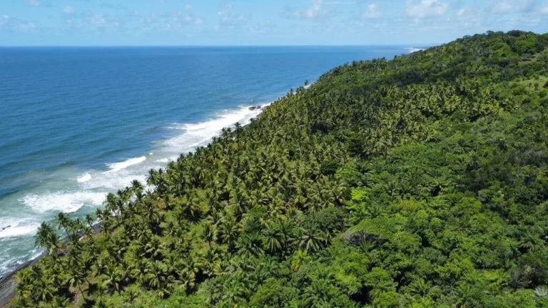 Imagem Natureza Serra Grande