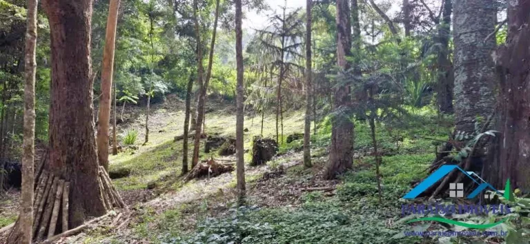 Imagem Mergulhe na Serenidade da Serra da Mantiqueira: Terreno com Cachoeira