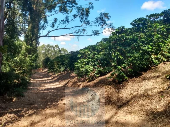 Imagem Sítio com 22.000 pés de café em Jacuí - Minas Gerais - 4 alqueires.