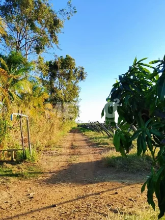 Imagem Fazenda de com 20 hectares produzindo e com Infraestrutura, CASA NOVA - BA