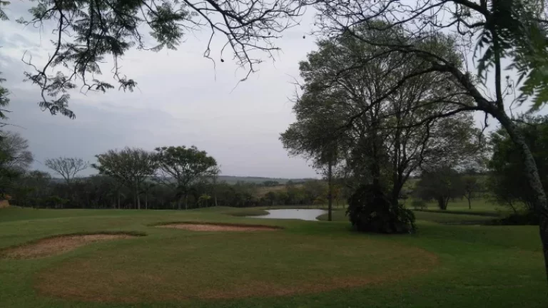 Imagem VENDA, TERRENO COND. RESIDENCIAL PALMAS DEL REY, 4.475,40 m²