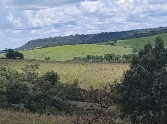 Imagem Fazenda 10 Alqueires à Venda em Luziânia, Goiás!