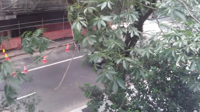 Imagem Laje comercial na Paulista - Casa das Flores