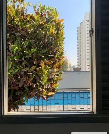 Imagem Apartamento 1 dormitório, sala, cozinha, área de serviço e banheiro. 

Condomínio com piscina, s...