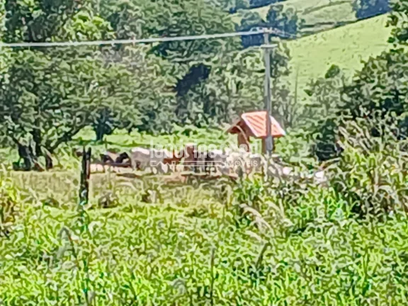 Imagem Sítio à venda, Flamenguinho, Ibaiti, PR
