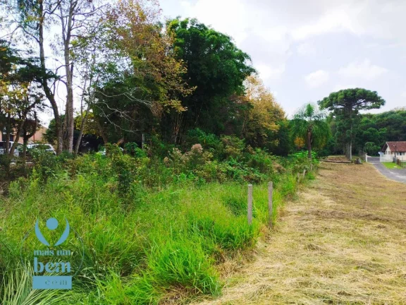 Imagem Oportunidade única. Terreno à venda, 2499 m² por R$ 1.272.000 - Santa Felicidade - Curitiba/PR