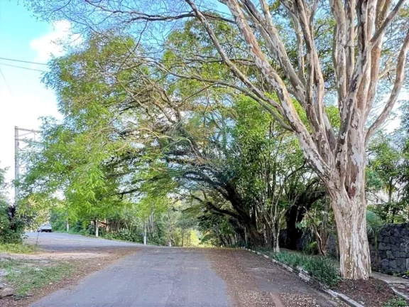 Imagem Casa em condomínio Granja Viana Terreno 2500m2