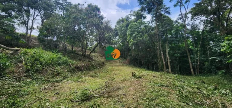 Imagem Terreno para Venda em São Roque, Vila Santo Antônio