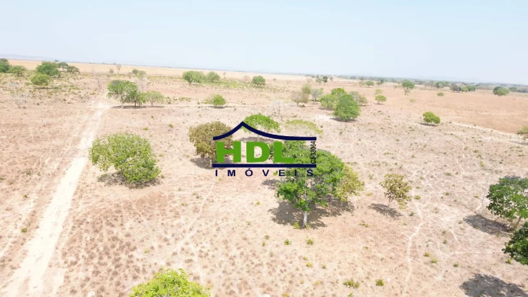 Imagem Fazenda de OPORTUNIDADE Dupla Aptidão em Peixe do Tocantins