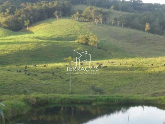 Imagem ÁREA COMERCIAL JUNTO AO RODOANEL - ÓTIMO LOCAL PARA CONSTRUÇÃO DE GALPÕES DE LOGÍSTICA - SUZANO/MAUÁ/RIB. PIRES