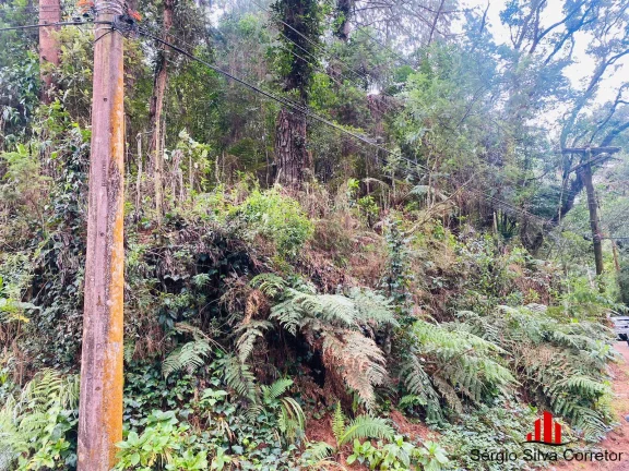Imagem Terreno a Venda na Região do Vila Inglesa Campos do Jordão- SP.
