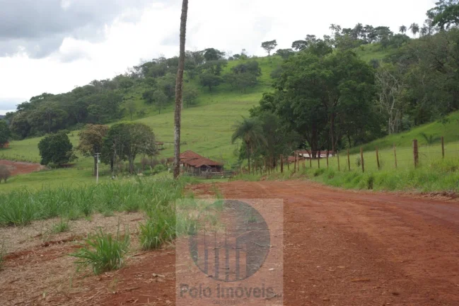 Imagem Fazenda em Cajuru 65,2254 alqueires com 35 alqueires em cana - a 78 km de Ribeirão Preto - SP sentido Casa Branca
