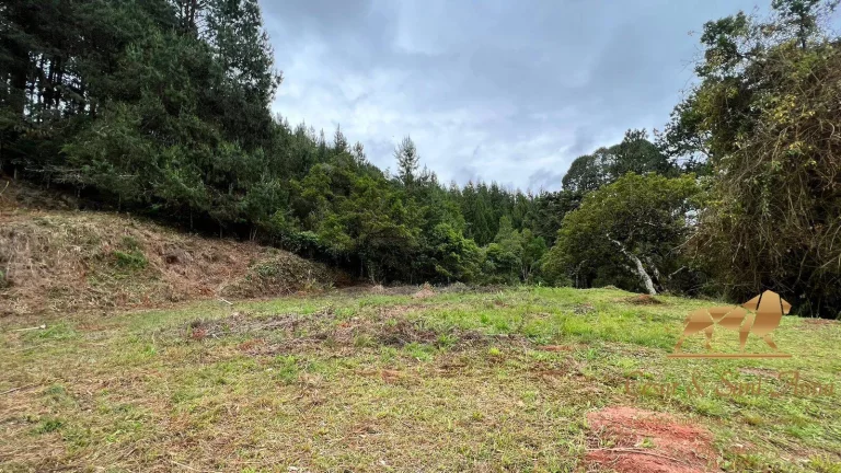 Imagem ÁREA DE 6500M² COM CASA EDIFICADA Á VENDA EM CAMPOS DO JORDÃO-SP