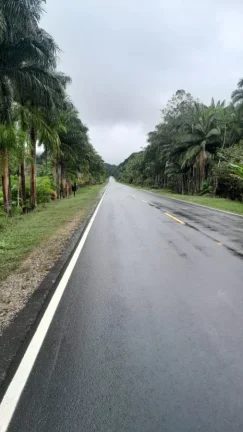 Imagem Sítio para Venda em Sete Barras, Rural
