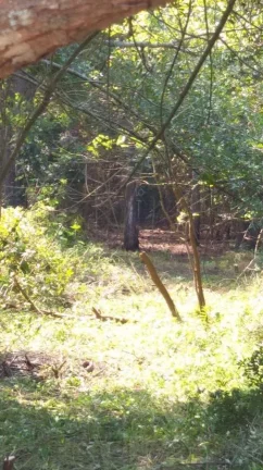 Imagem Terreno Comercial para Venda por R$2.600.000,00 com 8608m² - Jardim do rio cotia, Cotia / SP - Cód. BDI28619