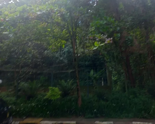 Imagem Apartamento Butantã