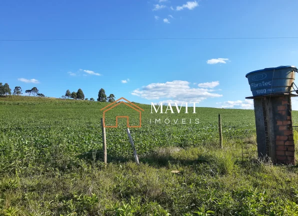 Imagem SITIO RURAL em CAPÃO ALTO - SC, Capão Alto