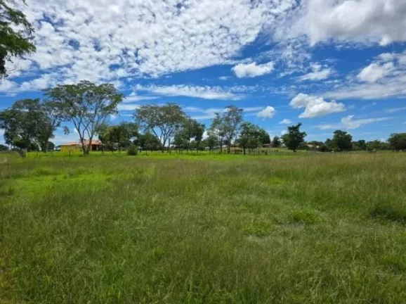 Imagem Oportunidade Única: Fazenda Espetacular à Venda! Mundo Novo GO.