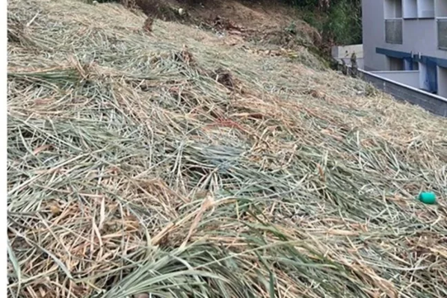 Imagem Terreno com 402,50 m², na Freguesia em Jacarepaguá