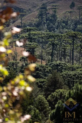 Imagem LUXO, SOFISTICAÇÃO E TRANQUILIDADE, DEFINE ESTA CASA