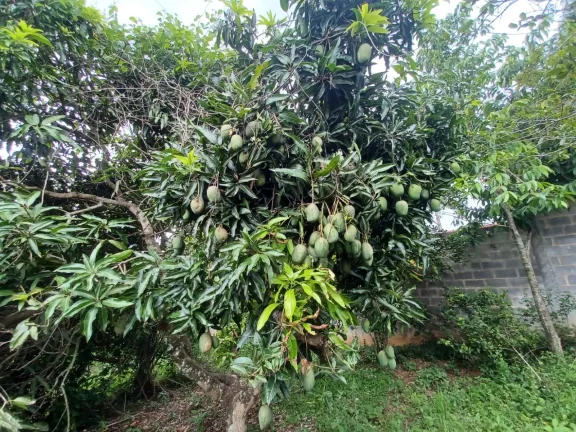 Imagem Casa com 04 dormitórios, sendo 01 suíte à venda no Condomínio Village da Serra!
