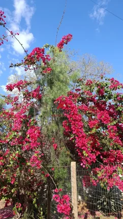 Imagem Casa - Cond. Campos da Liberdade - Lagoa Santa