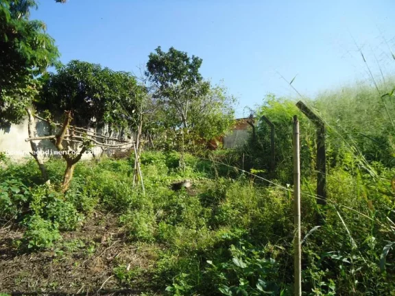 Imagem Casa para Venda em Limeira, Vila Queiroz, 3 dormitórios, 3 banheiros, 2 vagas