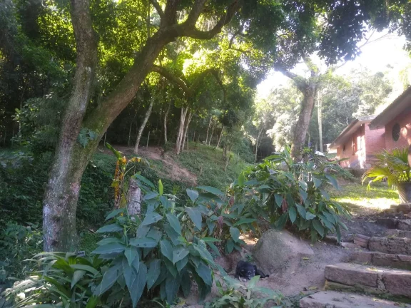 Imagem Belo Sítio com 1.3 Hectares, vista panorâmica, Ponta Grossa/Porto Alegre