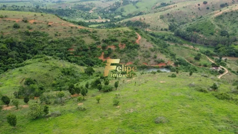 Imagem Fazenda 55 alqueires escriturada produtiva com muita água em Colatina.