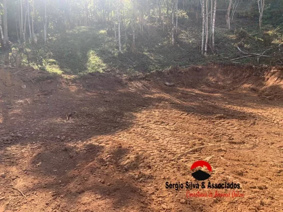 Imagem Terreno a Venda no Bairro do Centro em Piranguçu - MG.