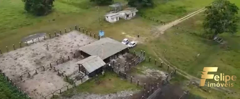 Imagem FAZENDA À VENDA EM TEIXEIRA DE FREITAS / BAHIA
