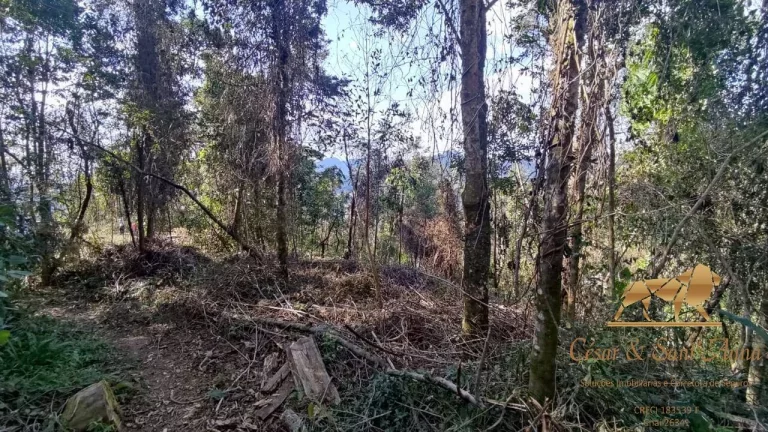 Imagem Lote com vista para Pera do Baú a venda em Campos do Jordão-SP