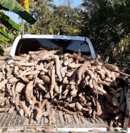 Imagem Fazenda à venda, 900.000 m² por R$ 1.500.000,00 - Zona Rural - Lagoa do Piauí/PI
