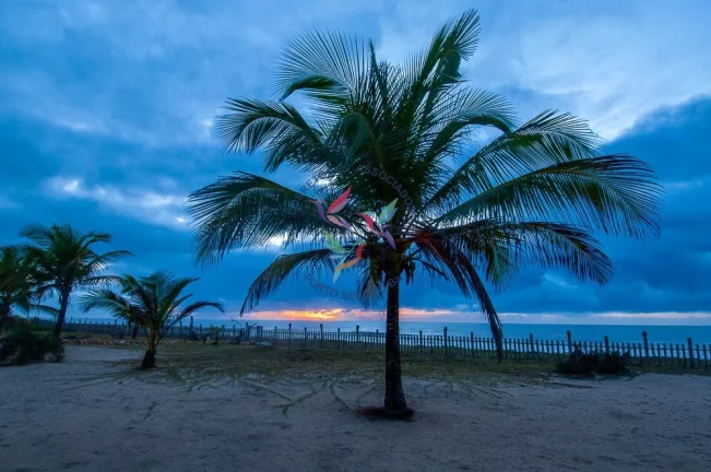 Imagem Pé na Areia - Linda Propriedade com 200 m de Praia - 15 ha.