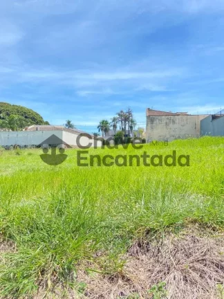 Imagem Lote de 490 metros no Parque Paineiras
