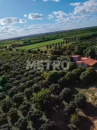 Imagem Fazenda Irrigada à venda produzindo com 6 hectares, PETROLINA - PE