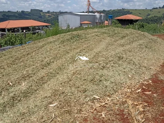 Imagem Sítio para Venda em Mandaguari / PR