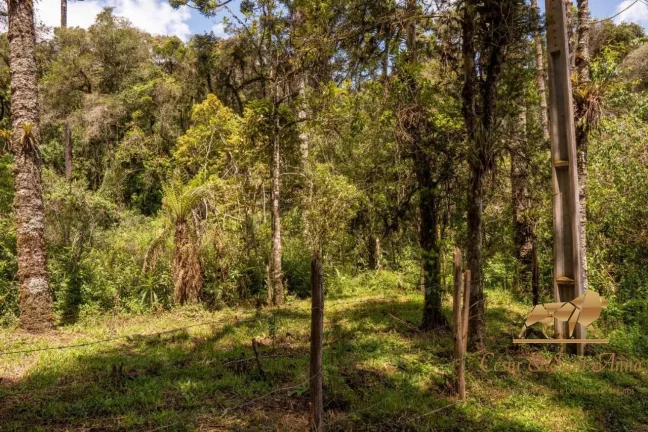 Imagem Terreno com 3132m a venda em Campos do Jordão