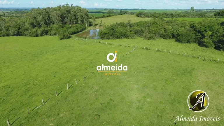 Imagem Chácara com 6,2 ha